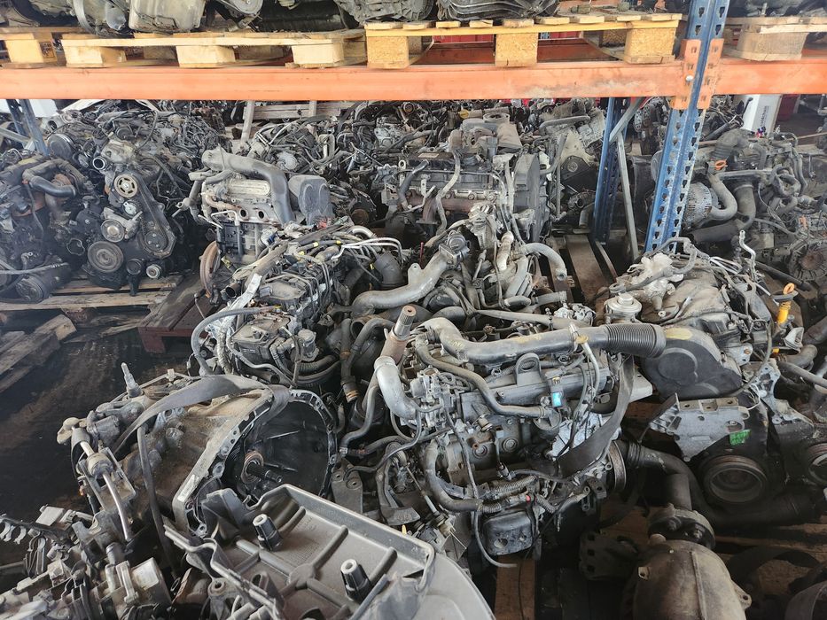 Cardane iveco Daily 2004-2014