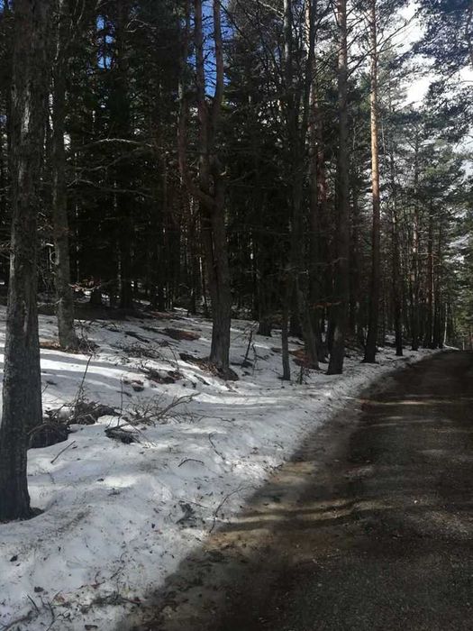 Парцел хижа Здравец до хижа Металик 100метра лице