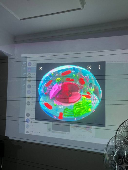 Учебный центр / репетитор биологии / биология / биолог / медицина
