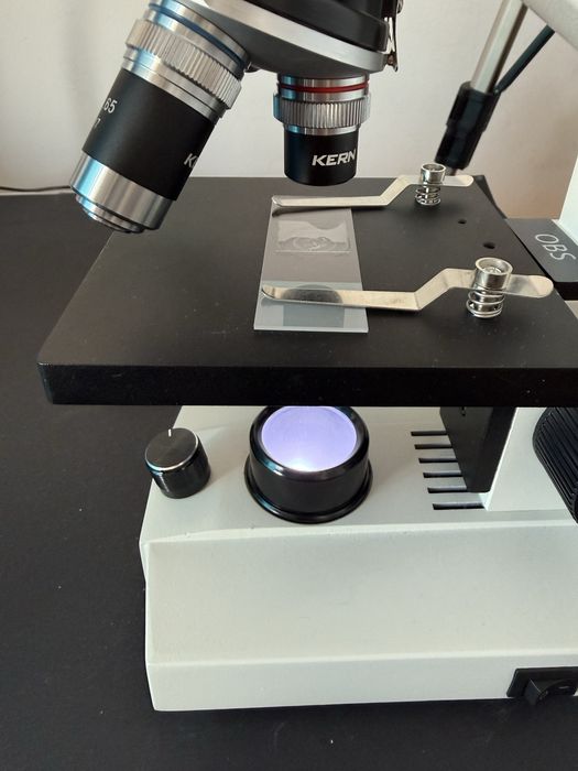 Microscop biologic Kern Obs 101