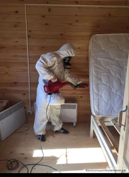 Дезинфекция дезинфекция дезинфекция дезинфекция