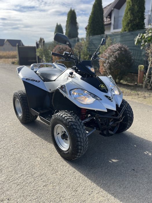 Atv E Ton Vector 250cmc automat (nu linhai kymco sym daelim)