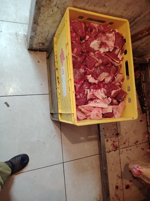 Продам мясо говядины.