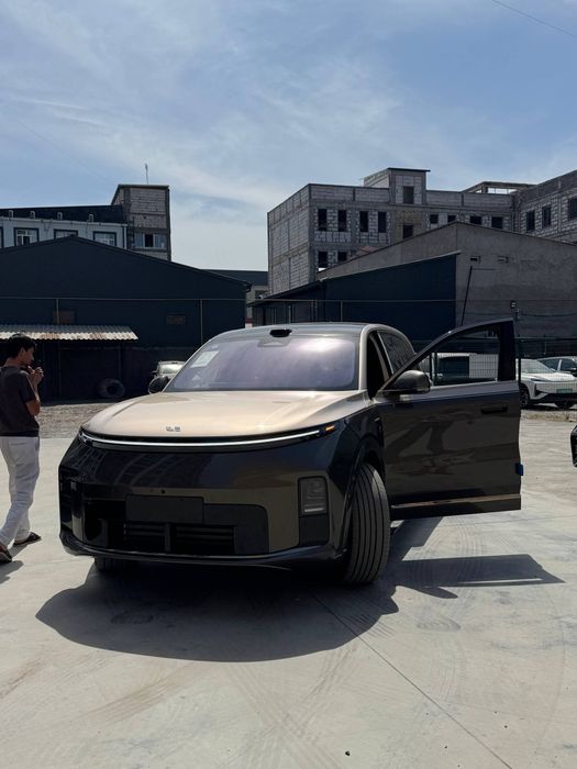 Li xiang L9 Livis