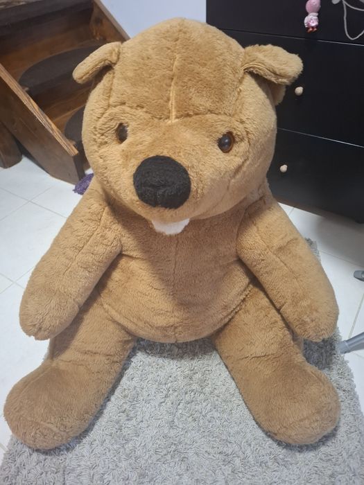 Urs de plus foarte mare