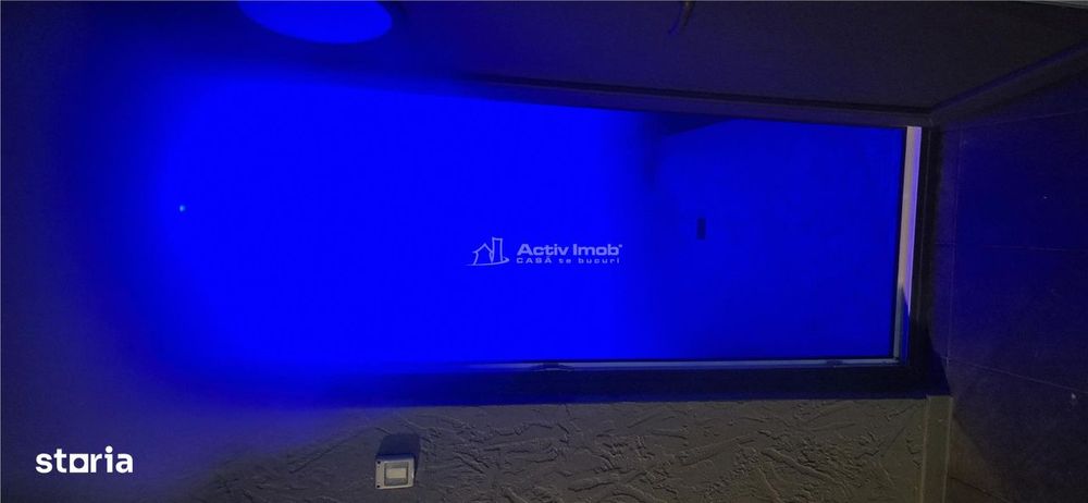 Vila PREMIUM, piscina, teren 2000 mp, POSTA CALNAU