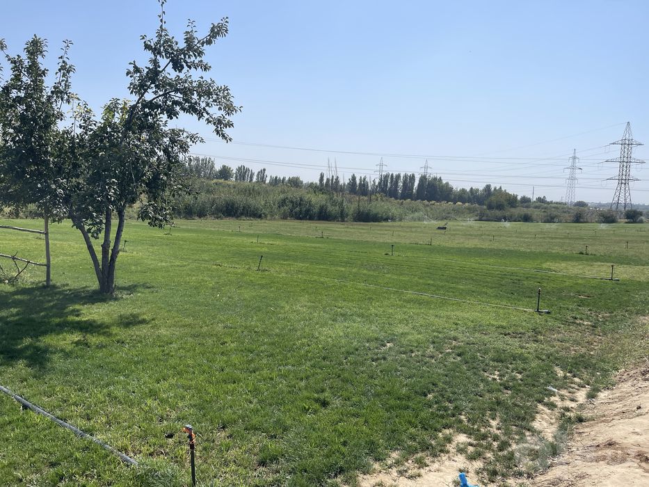 gazon sotiladi sifatli
