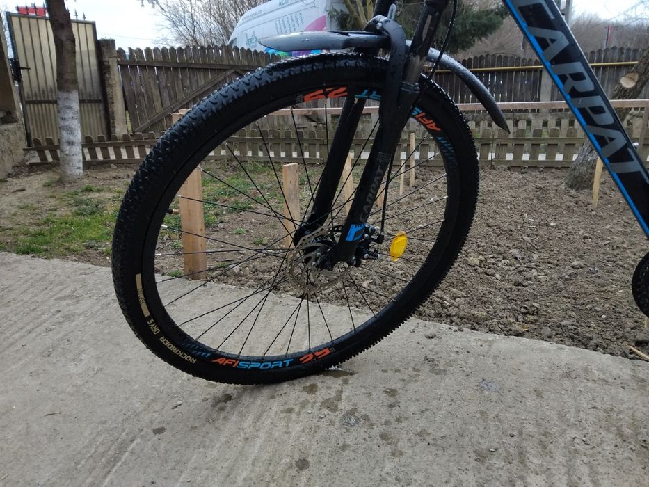 Bicicleta adulți cu roti pe 29