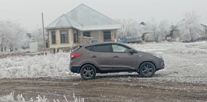 Арай мектеп жанынан участок