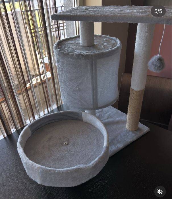 Котешка катерушка