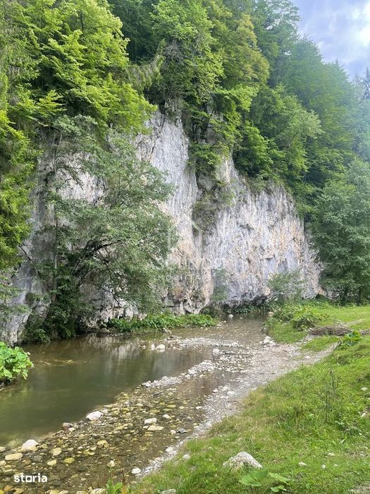 Teren Investiție Turistică Dâmbovicioara Baranga | 4.500 mp