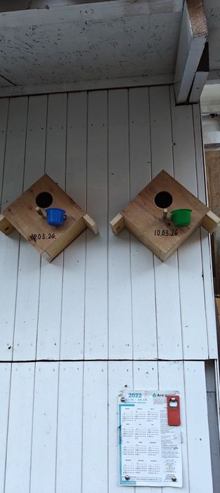 Cuib de păsări mari și mici