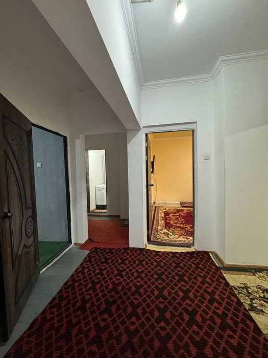 Ибн сино Жар-арик 3/5/9