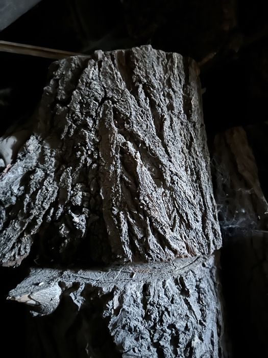 Продам пеньки спилу чурбаки