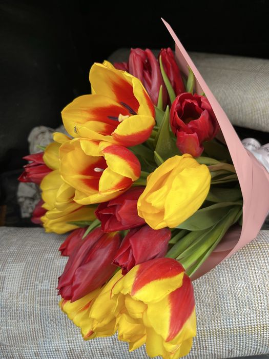 Тюльпан свежии 21 штук