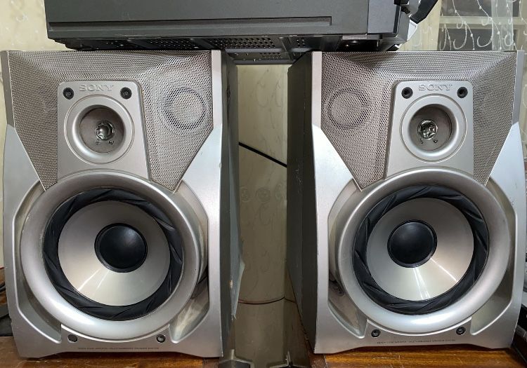 Arzon narda Kalonka sotiladi