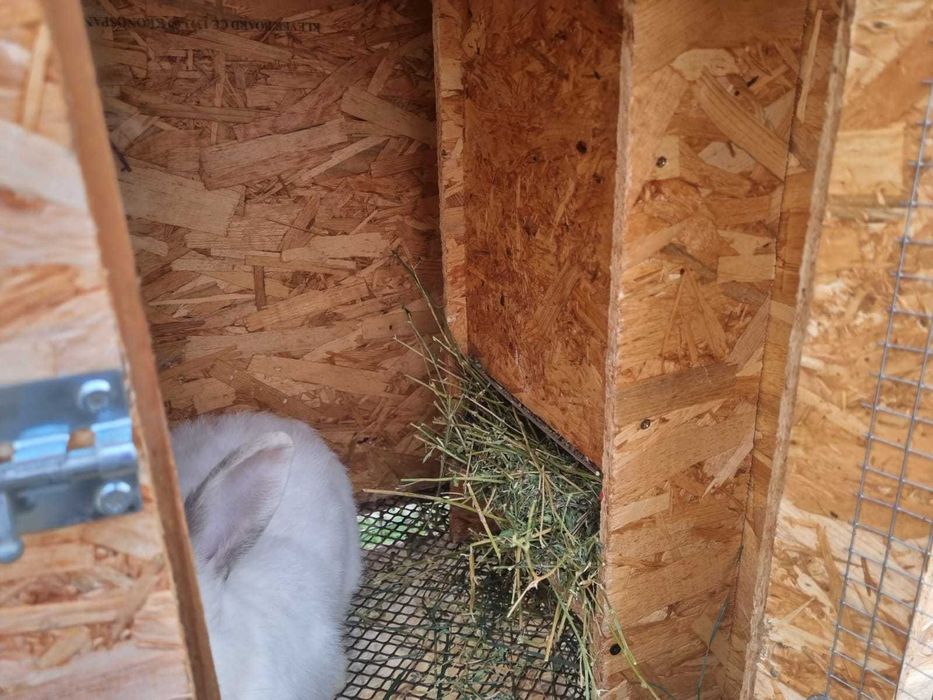 Cusca de iepuri cu iepuri totul automat