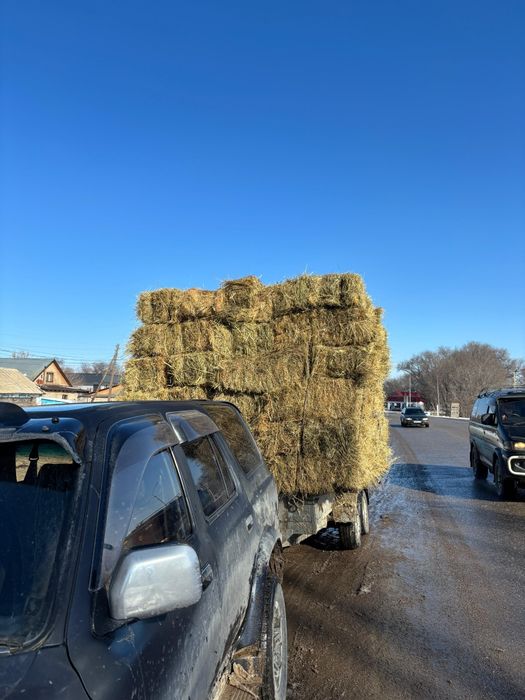Сено (садовая) продается!!