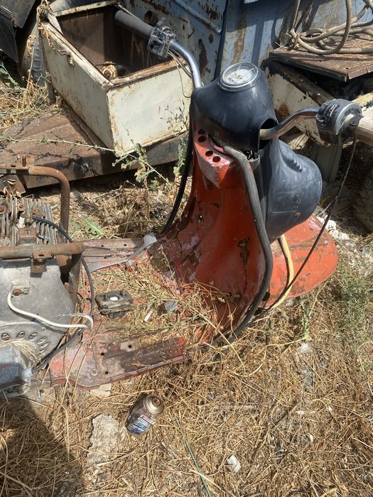 Муравейник продажа