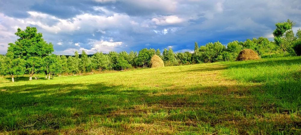 Parcele sau întreg  Intabulat ,Intravilan cu Nr de Casa ,drum Privat 4600 mp