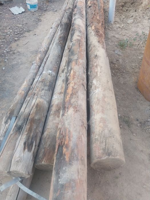 Дом и сад олх сарыагаш