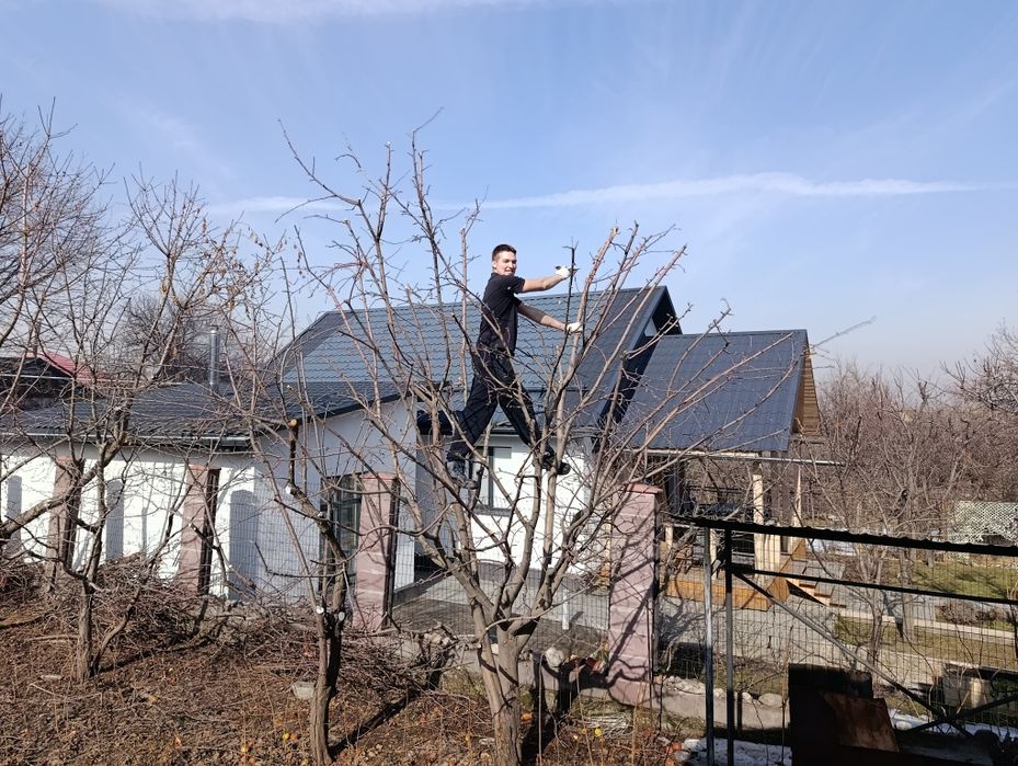 Услуги Садовника Алматы