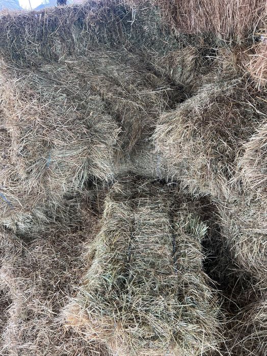 Vând baloți de fân