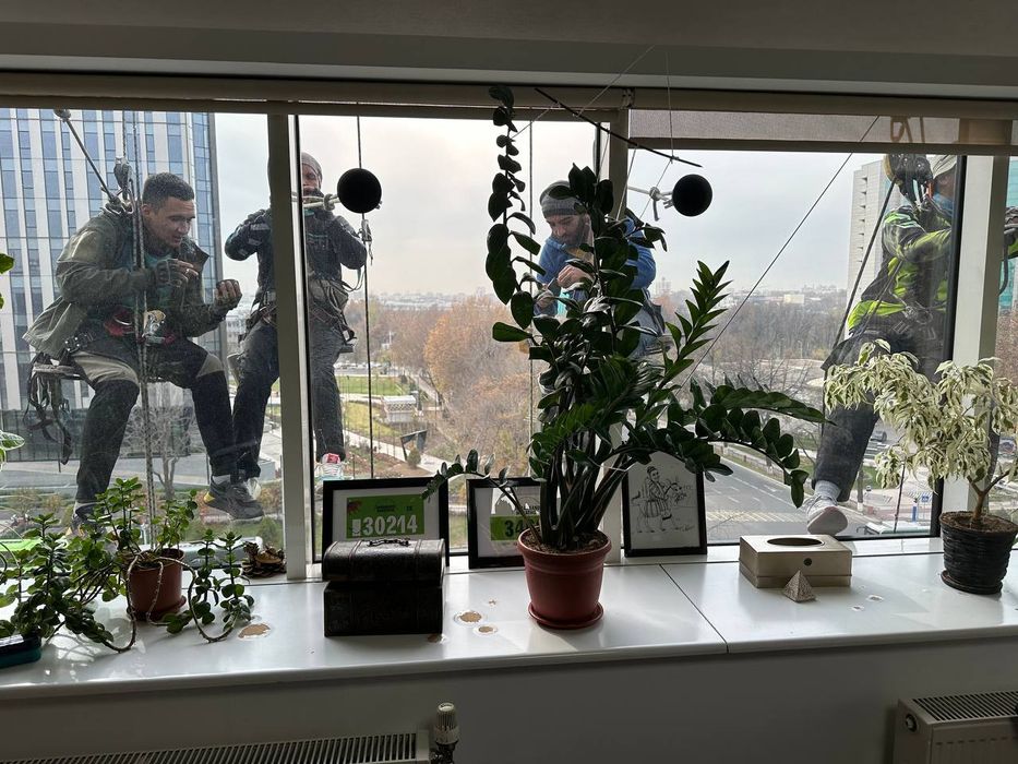 Альпинисты со стажем работы