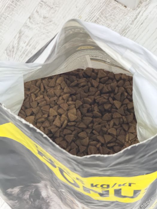 Purina Pro Plan miel