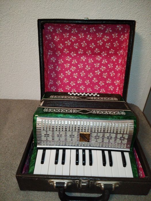 Acordeon Razno copiii