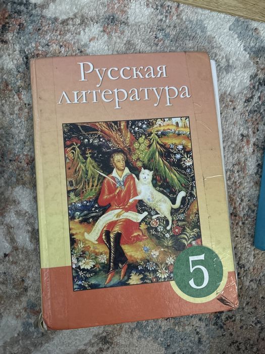 Книги 5класс