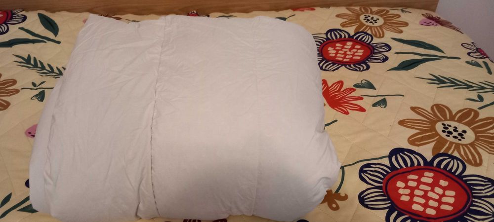 Зимни завивки от гъши пера и пух