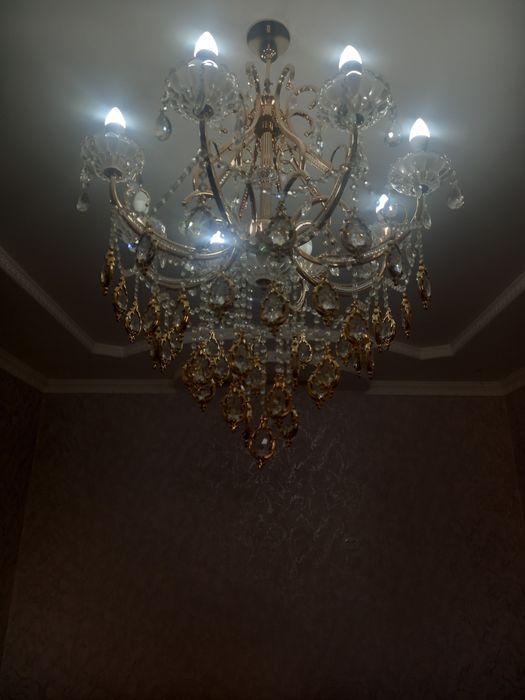 8 шахлы луистра сатылады