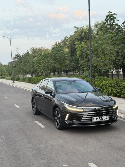 Byd Chazor Full pozitsasi