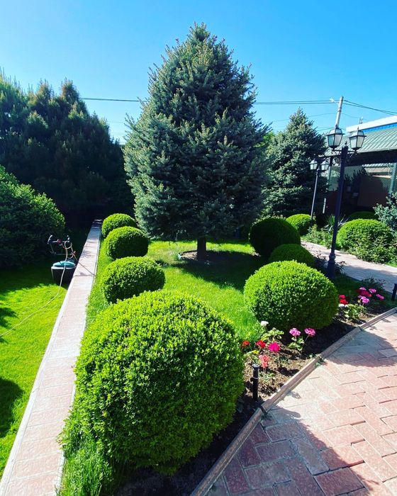 Газон Автополив