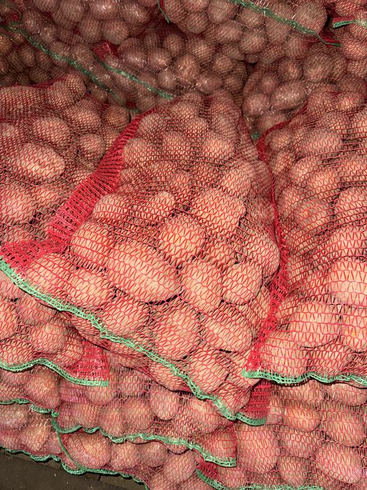 Cartifi consum și sămânță