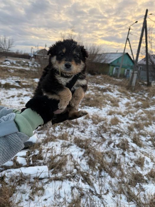 Подарите дом малышам.