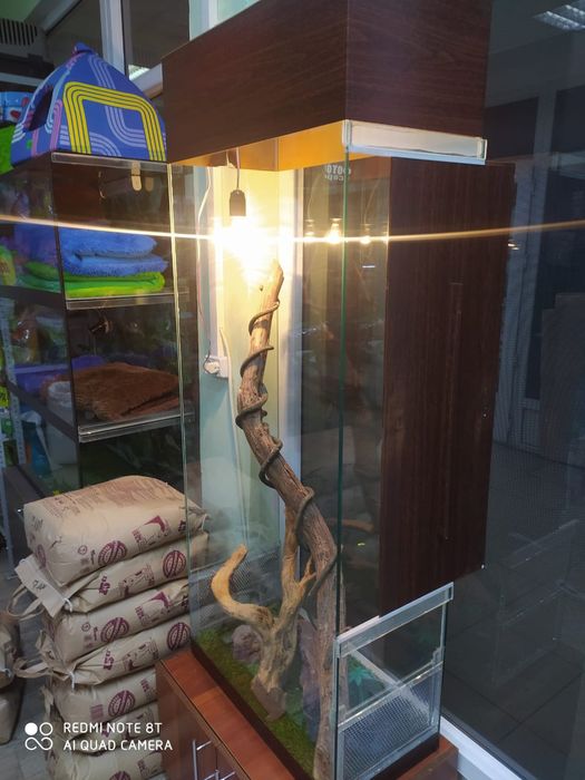 Террариум для рептилий