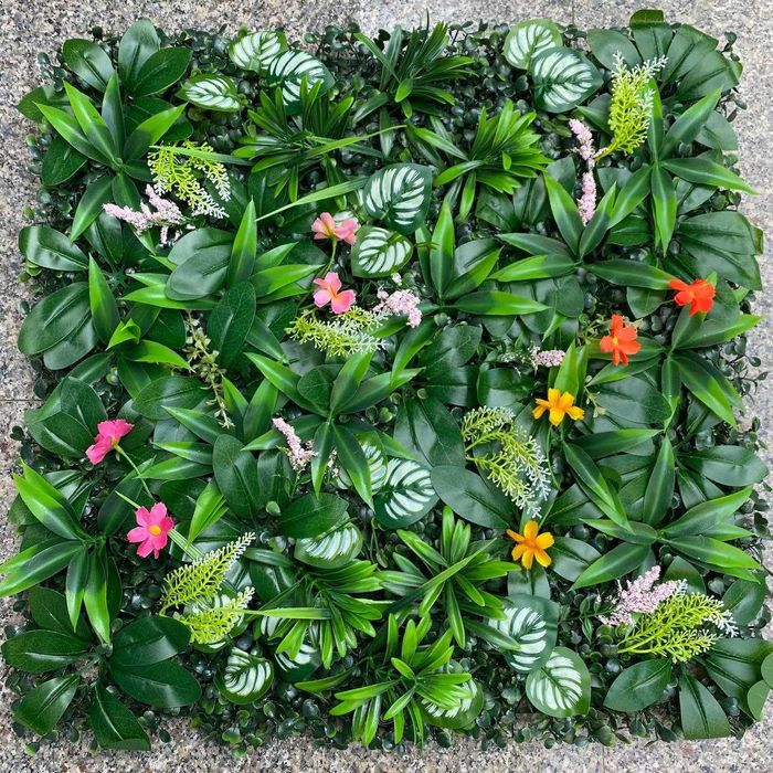 Цветочные, зеленые растения на стену, Фитостена