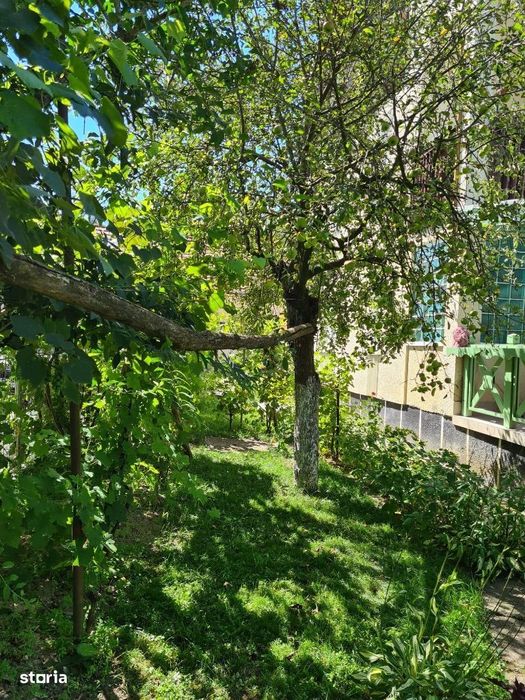 Casa P+1+M in Brebi,Salaj cu 19,32 ari teren+garaj+anexe de 240 mp