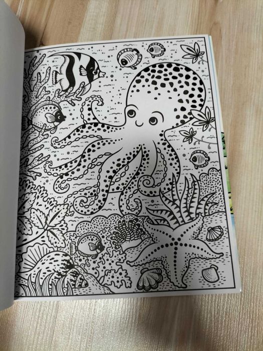 Carte pt copii de pictat cu apa Usborne