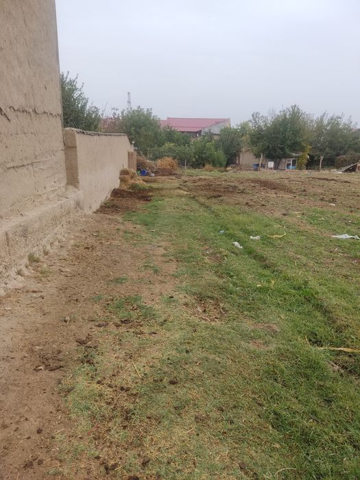 Усаска сотилад 8 сотик