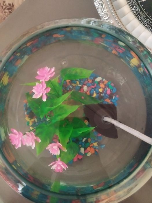 Аквариум круглый 10 литр