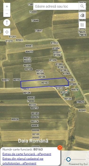 Teren arabil Daia Română