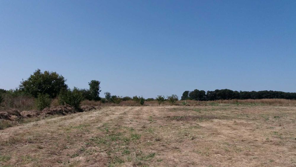 Парцел 2500 кв.м. на 5 км от гр. Добрич