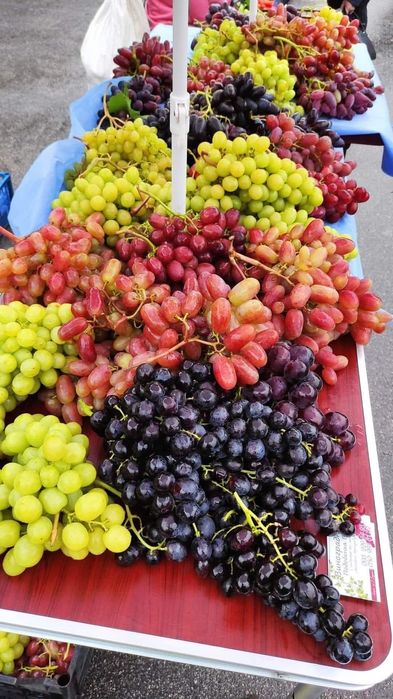 Vita de vie soiuri de masă pentru boltă