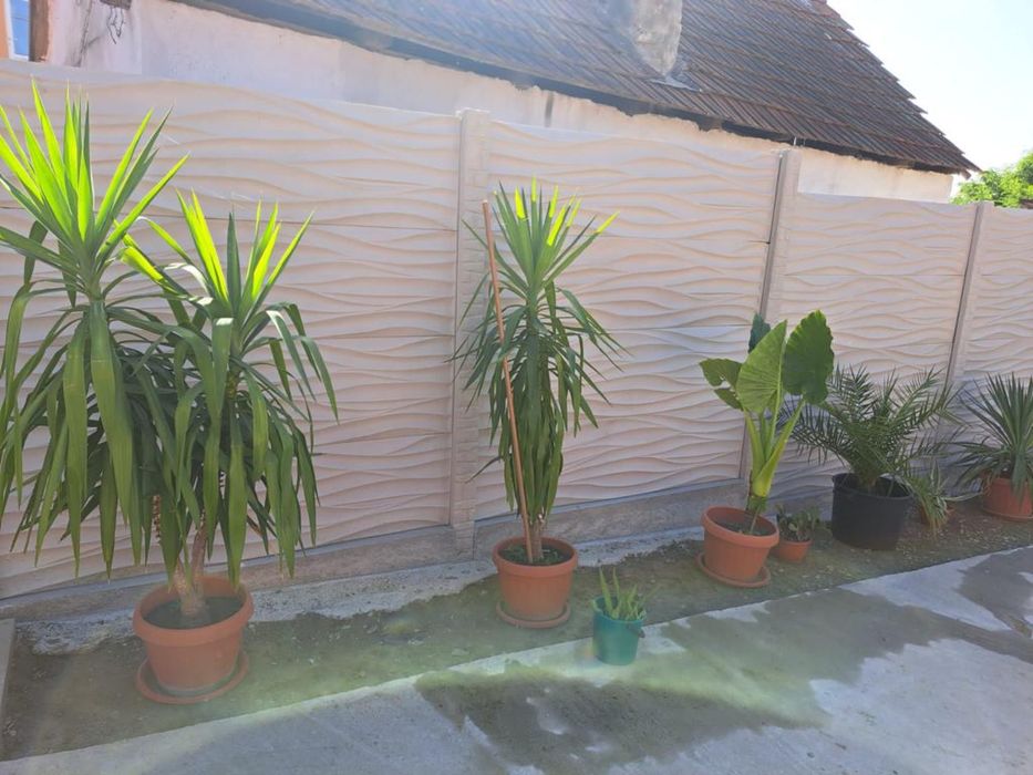 Gard din beton stâlpi de beton capace de beton dale