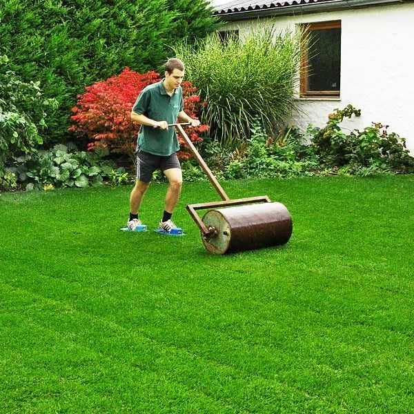 GAZON RULOU Sport - Craiova