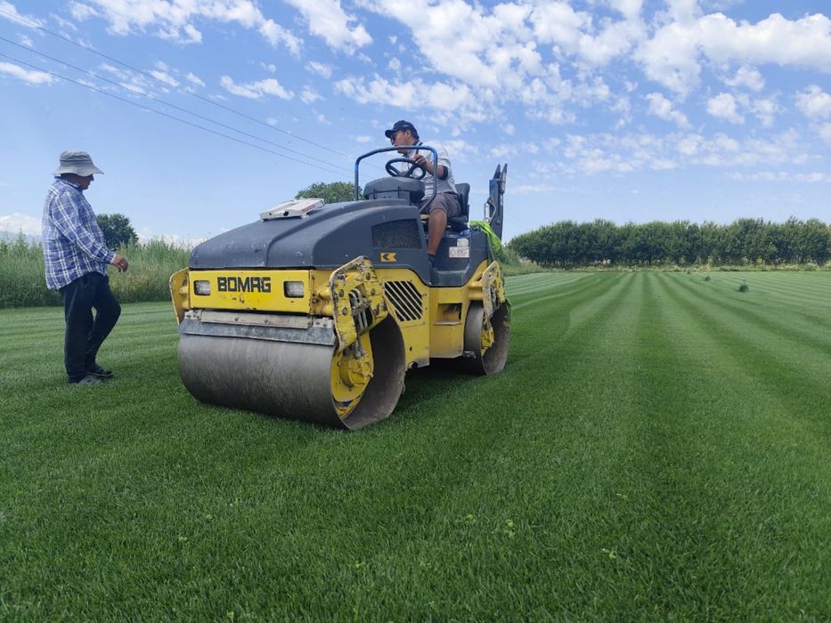 Аренда катков 3-5-16