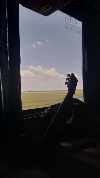 Профессиональная гитара YAMAHA F310 TBS